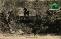 Carte postale ancienne Bois de la Grande Palud
                                                                     à La Forest-Landerneau
                                