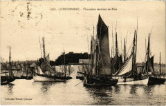 Concerneau- Thonniers rentrant au Port France