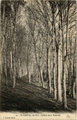 Carte postale ancienne Saint-Cast - La Garde allée principale du bois de la Vieuville
                                                                     à Saint-Cast-le-Guildo
                                