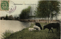 Chatelaudren - Chaussée et Promenades