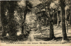 Chemins de fer Cotes-du-Nord-Saint-Cast-Une Allée du Bois Vieuville