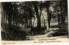 Saint-Cast-Avenue du Bois La Vieuville