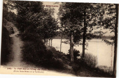 Le Petit bois et l'Etang des Ponts Neufs