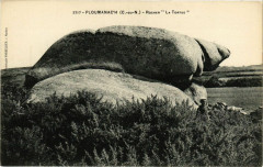 Ploumanach-Rochers La Tortue