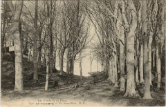 La VIComte-Un Sous Bois