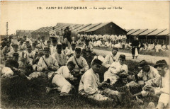 Camp de Coetquidan - La soupe sur 1 herbe -
													56 Morbihan
												