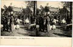 Scene ANIMéeS - Un marche brelon -
													56 Morbihan
												