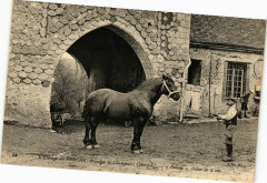 L'Elevage au Perche - Domaive de Champeaux -
													45 Loiret
												