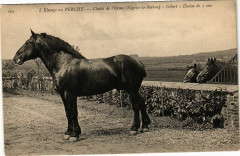 L'Elevage au Perche - Chalet de l'Orme