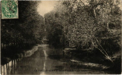 La Ferte Saint-Aubin - Le Cosson