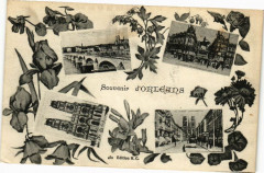 Souvenir d'Orleans -
													45 Loiret
												