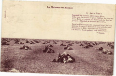 La Moisson en Beauce -
													45 Loiret
												