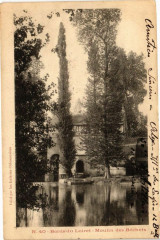 Bords du Loiret - Moulin des Bechets
