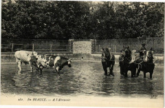 En Beauce - A l Abreuvoir -
													45 Loiret
												