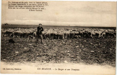 En Beauce - Le Berger et son Troupeau