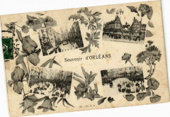 Souvenir d'Orleans
