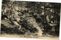 Malesherbes - Sous Bois