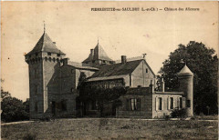 Pierrefitte-sur-Sauldre Chateau des Alicourts
