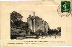 Sainte-Maure-Vieux Chateau