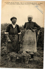 Clos de La Bouchardiere - Vieux serviteurs