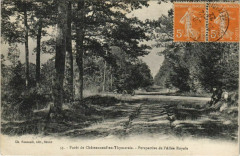 Foret de Chateauneuf en Thymerais - Perspective de l'Allée Royale -
													28 Eure et Loir
												