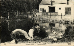 En Beauce - Coin de Ferme -
													28 Eure et Loir
												