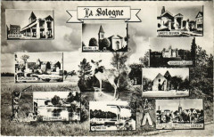 La Sologne -
													41 Loir et Cher
												