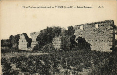 Env. de Montrichard - Thezee - Ruines ROMAINes -
													41 Loir et Cher
												
