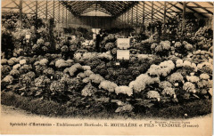Specialite d'Hortensias - Etablissement Horticole E.Mouillere et -
													41 Loir et Cher
												