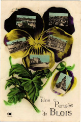 Une Pensée de Blois à Blois