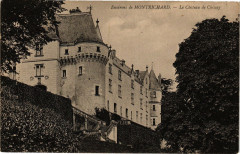 Montrichard-Le Chateau de Chissay -
													41 Loir et Cher
												