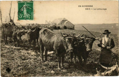 En Auvergne - Le Labourage