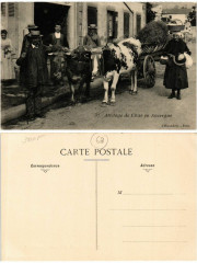 37 Types Attelage de Char en Auvergne