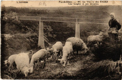 L'Auvergne Le Viaduc des Fades Une bergere et son troupeau -
													63 Puy de Dôme
												