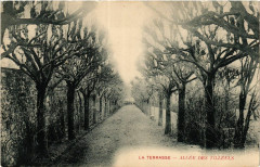 La Terrasse Alée des Tilleuls