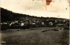 Chanat vue générale