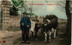 En Auvergne - Attelage de Vaches