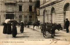 La Loue des Anes au Mont-Dore à Mont-Dore