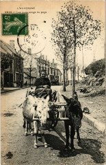 L'Auvergne - Les purs-sangs du pays