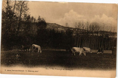 Un Paturage en Auvergne