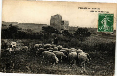 Paysage du Centre - Un Paturage
