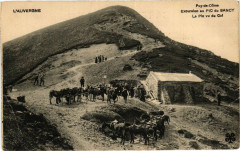Carte postale ancienne Excursion au Pic du Sancy - Le Pic vu du Col
                                                                     à Chambon-sur-Lac
                                
