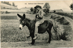 Retour des Champs -
													43 Haute Loire
												