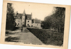 Saincaize-Chateau du Sallay -
													03 Allier
												