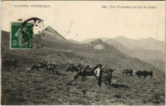 Une Vacherie au Col de Cabre France