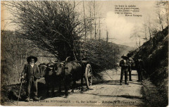 Le Cantal Pittoresque - Sur la Route - Attelage Auvergnat
