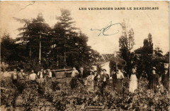 Les Vendanges dans le Beaujolais -
													71 Saône et Loire
												