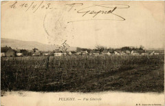 Puligny - Vue générale -
													71 Saône et Loire
												