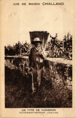 Jus de Raisin Challand Un Type de Vigneron