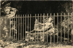 Source de la Seine